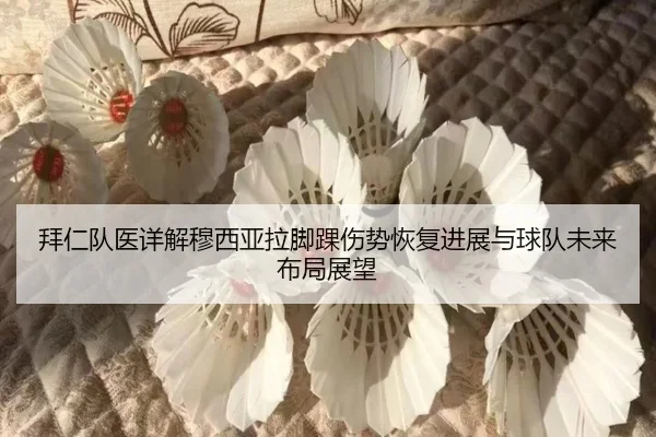拜仁队医详解穆西亚拉脚踝伤势恢复进展与球队未来布局展望